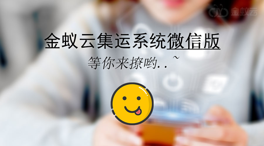 金蟻云集運系統(tǒng)有微信功能嗎？