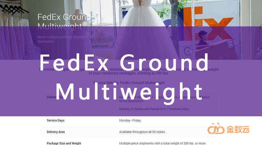 FedEx Multiweight 是什么？