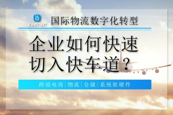 國際物流數字化轉型，企業(yè)如何快速切入快車道